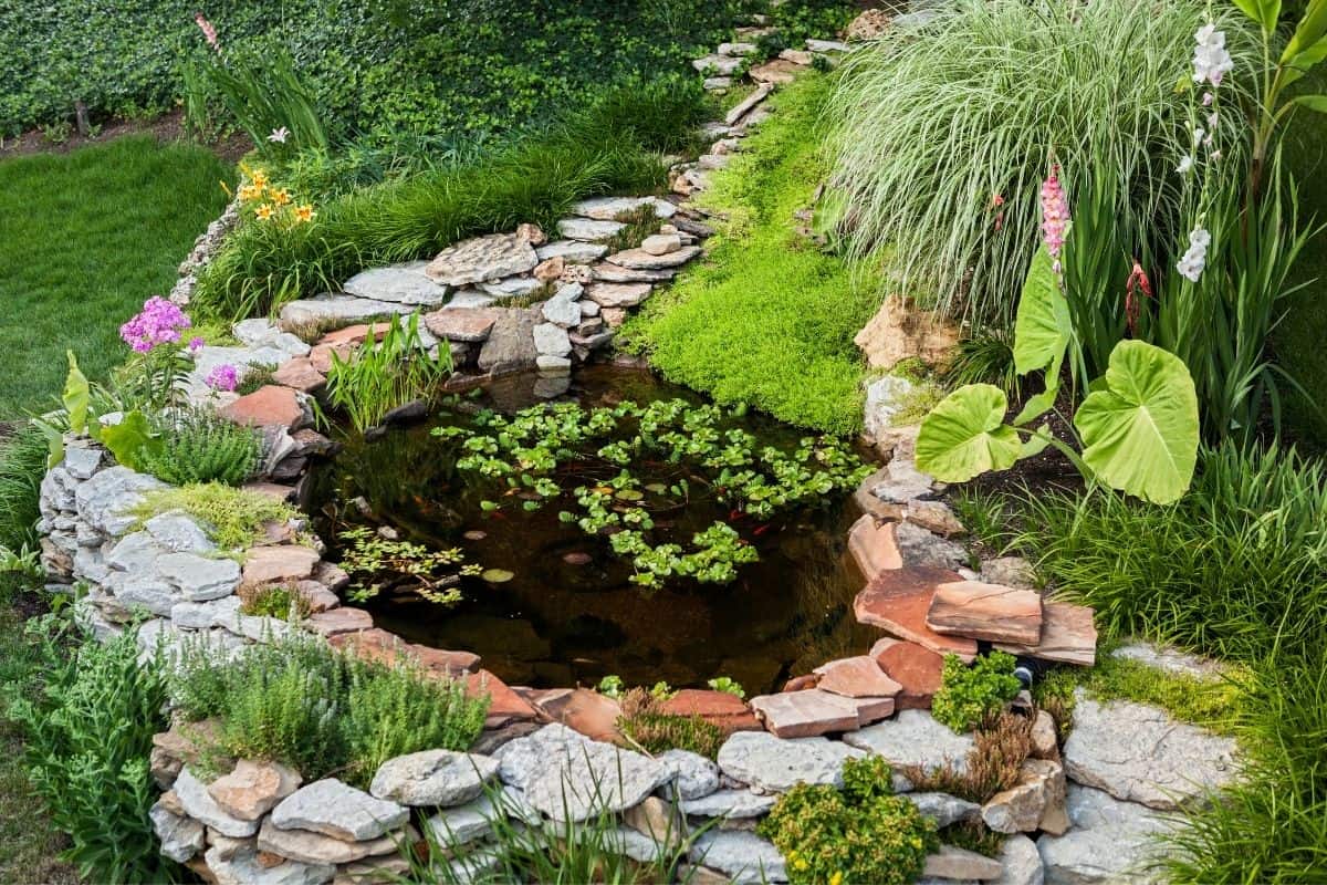 a small pool of water surrounded by natural rocks