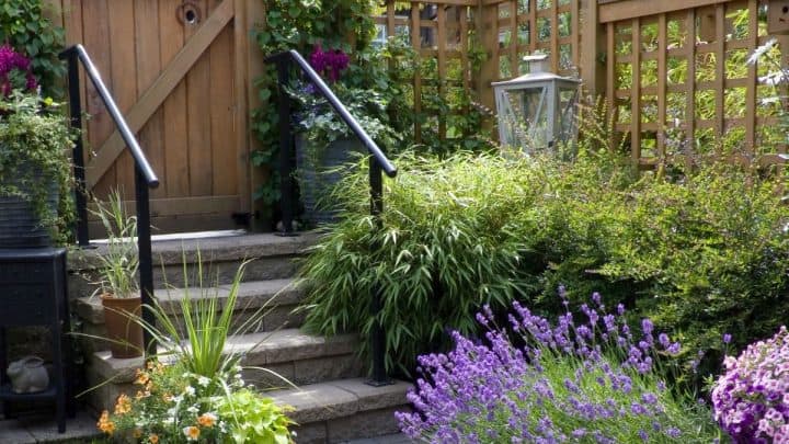 How To Make A Small Garden Look Bigger –  15 Creative Ideas