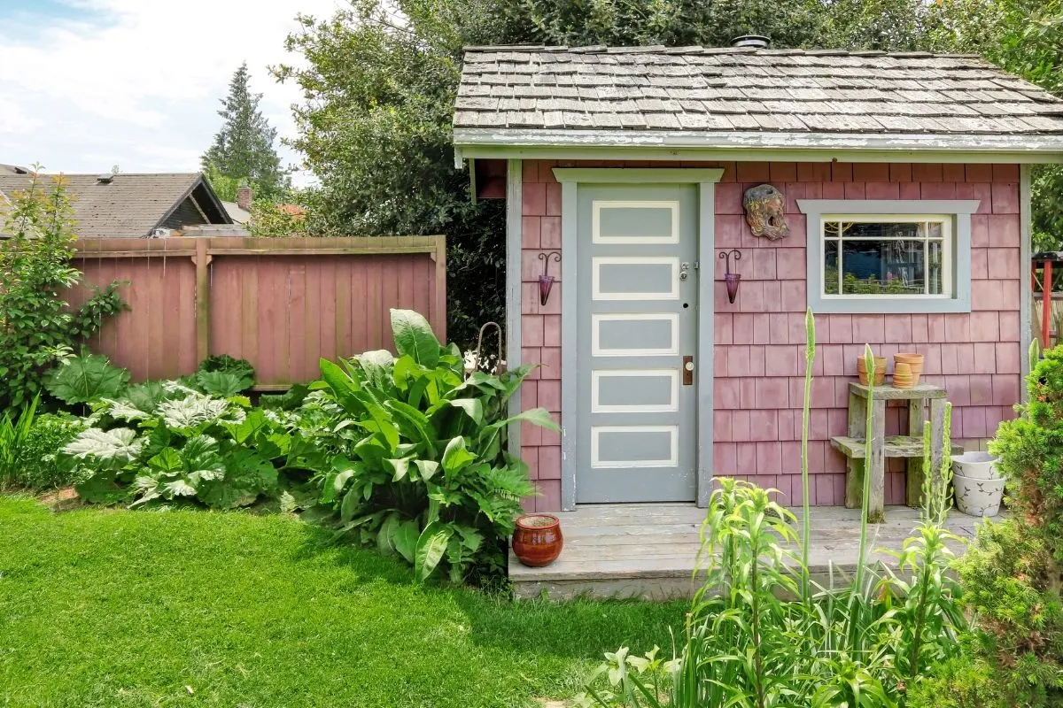small backyard with shed