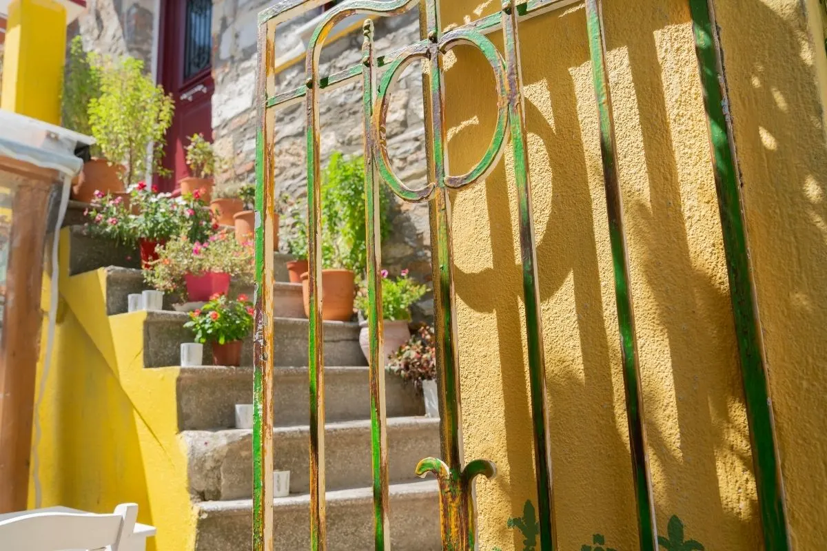 stairs lined with potted flowers for decor