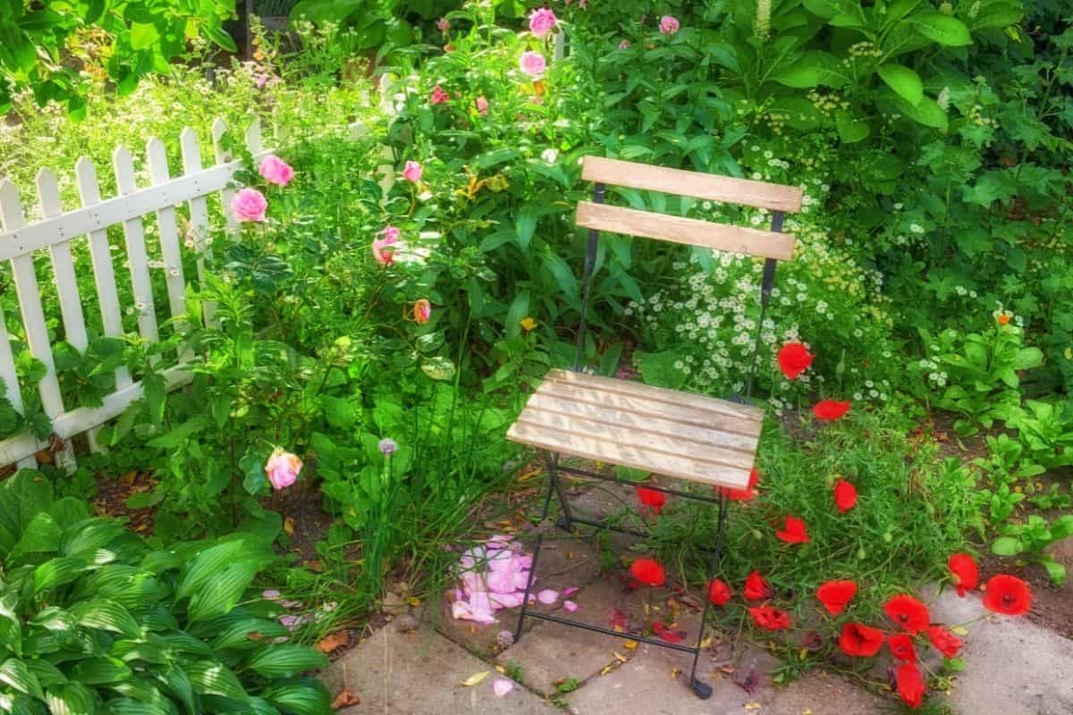 tropical garden corner