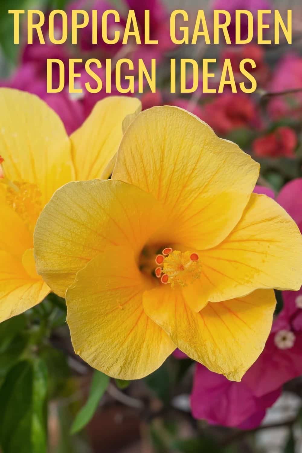 tropical garden design ideas