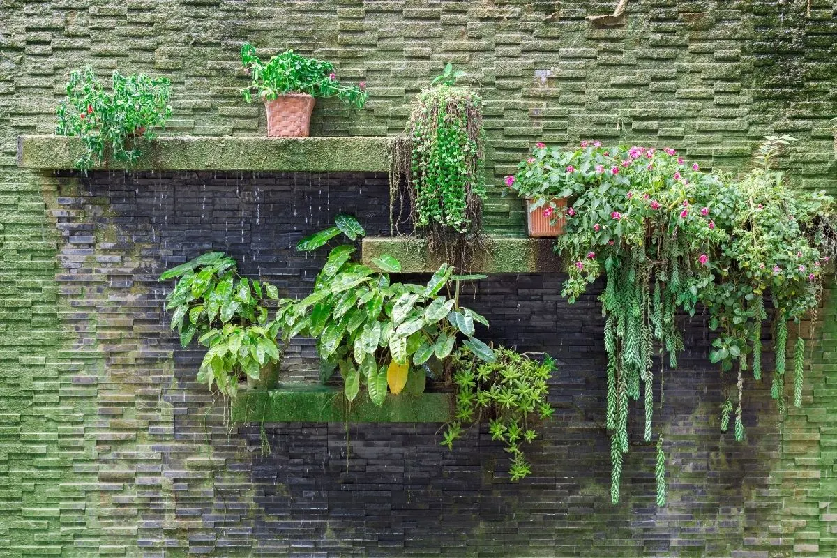 wall garden