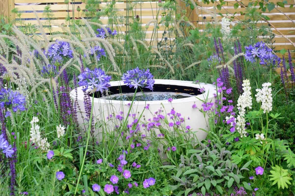 water feature in the backyard, surrounded by flowers in blue shades 