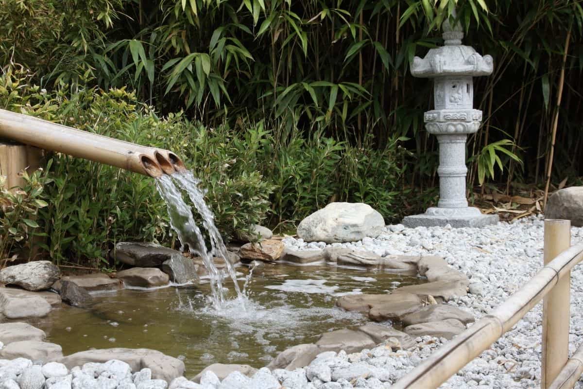water zen garden