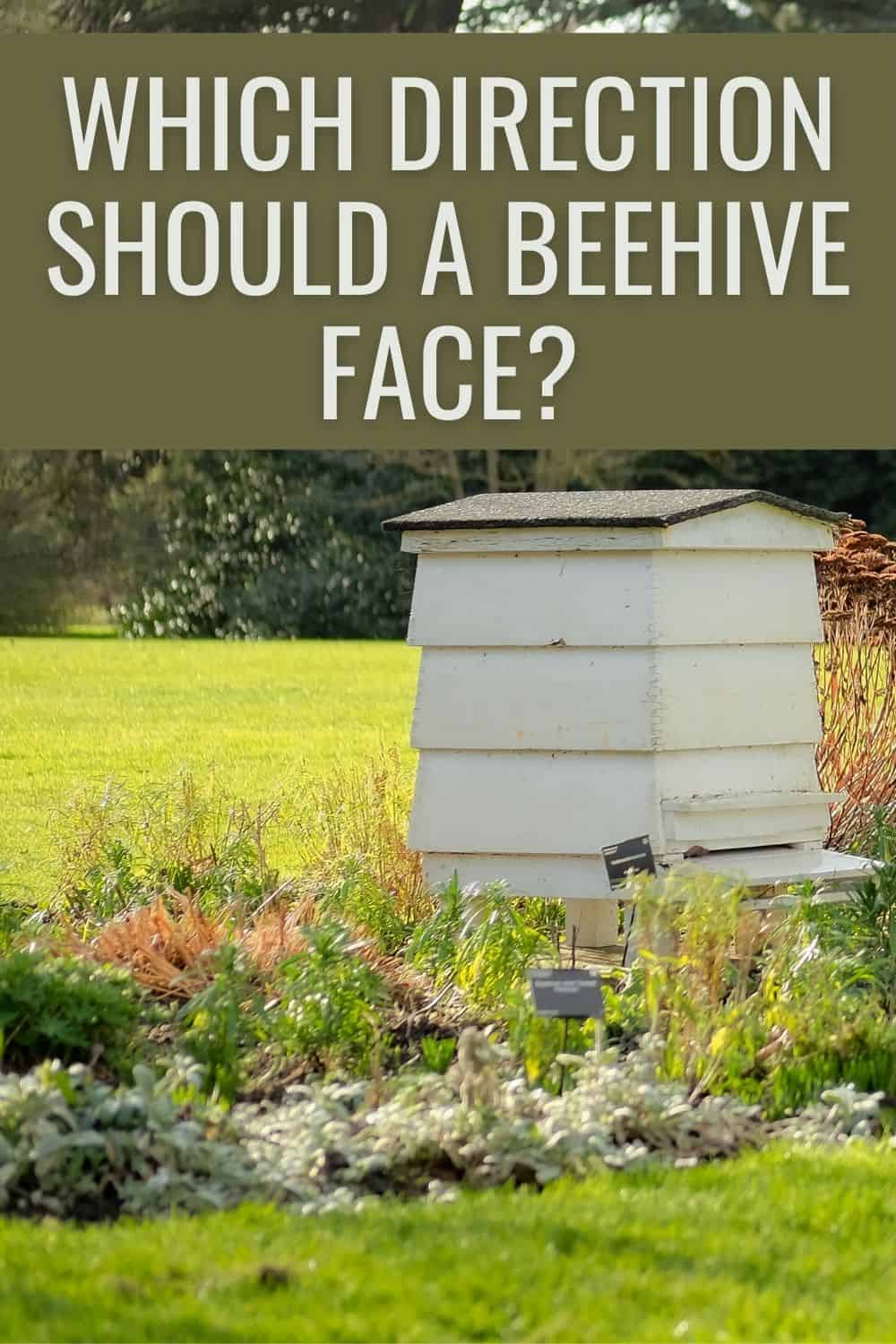 which direction should a beehive face?