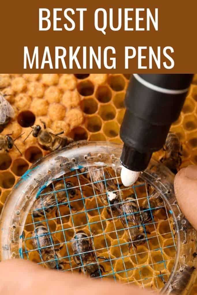 Best Queen Marking Pens