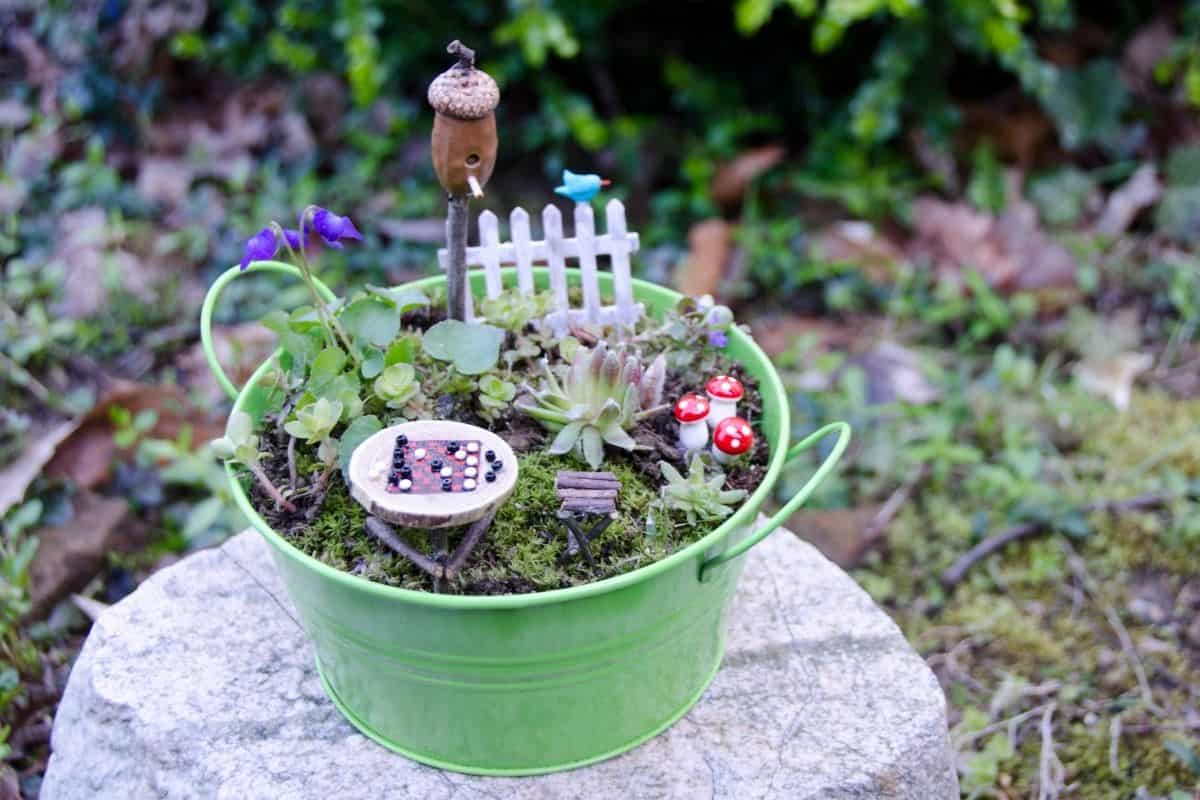 fairy garden in a bucket