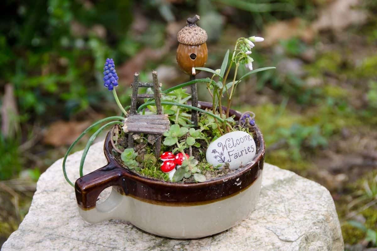 fairy garden in a mug