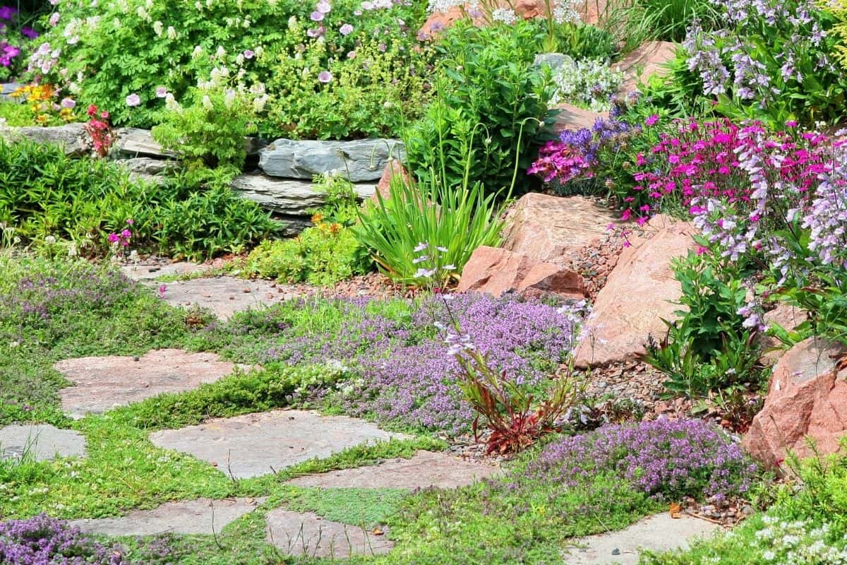 beautifully designed landscape with rocks and flowers