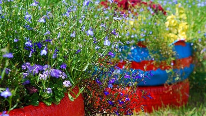10 Recycled Tire Garden Ideas for Clever Upcycling