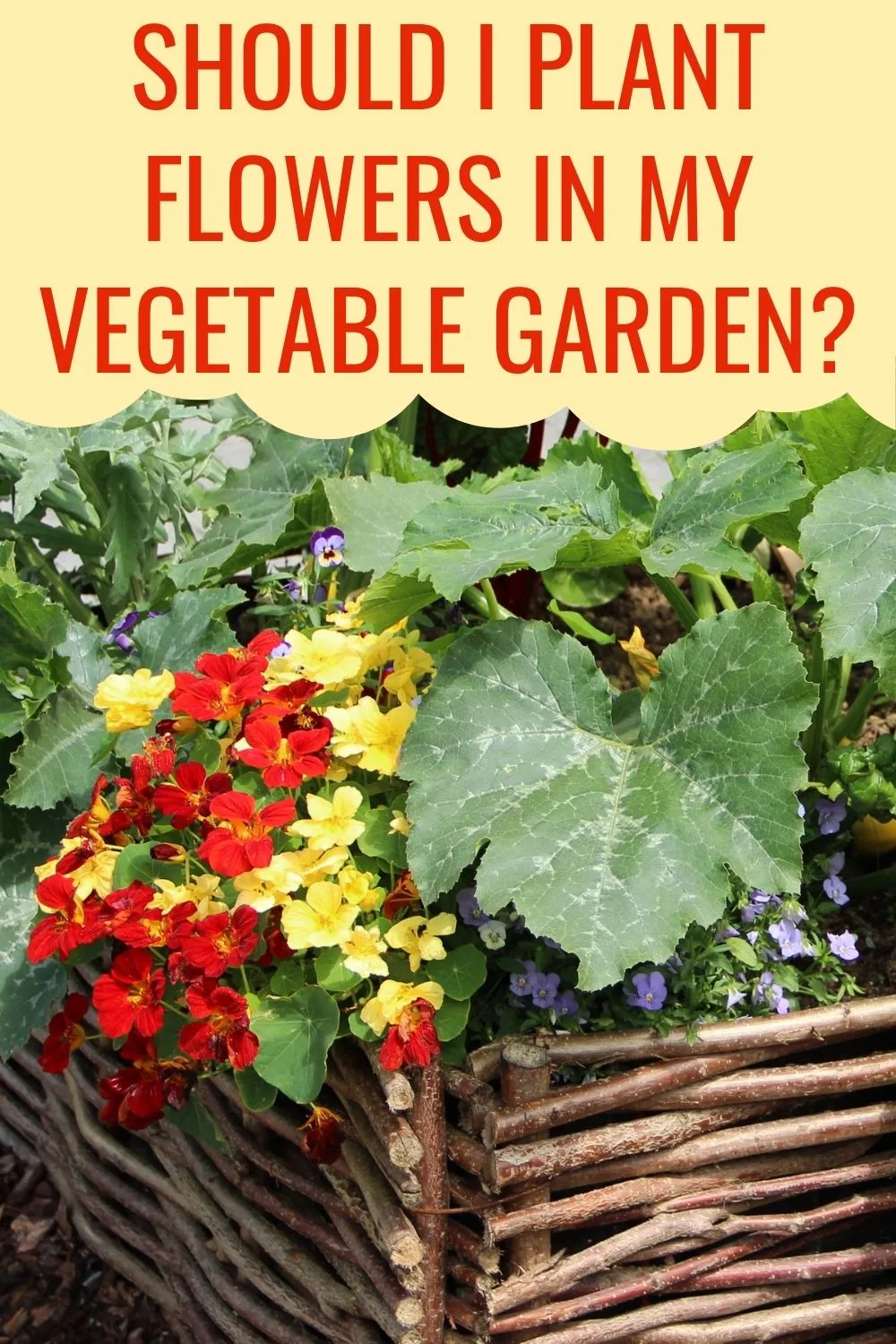 should I plant flowers in my vegetable garden? 