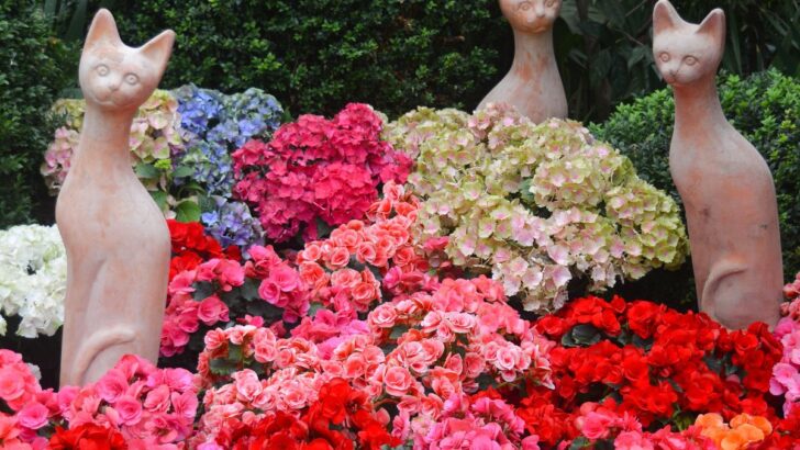 15 Fun Cat Garden Sculptures To Add To Your Landscape
