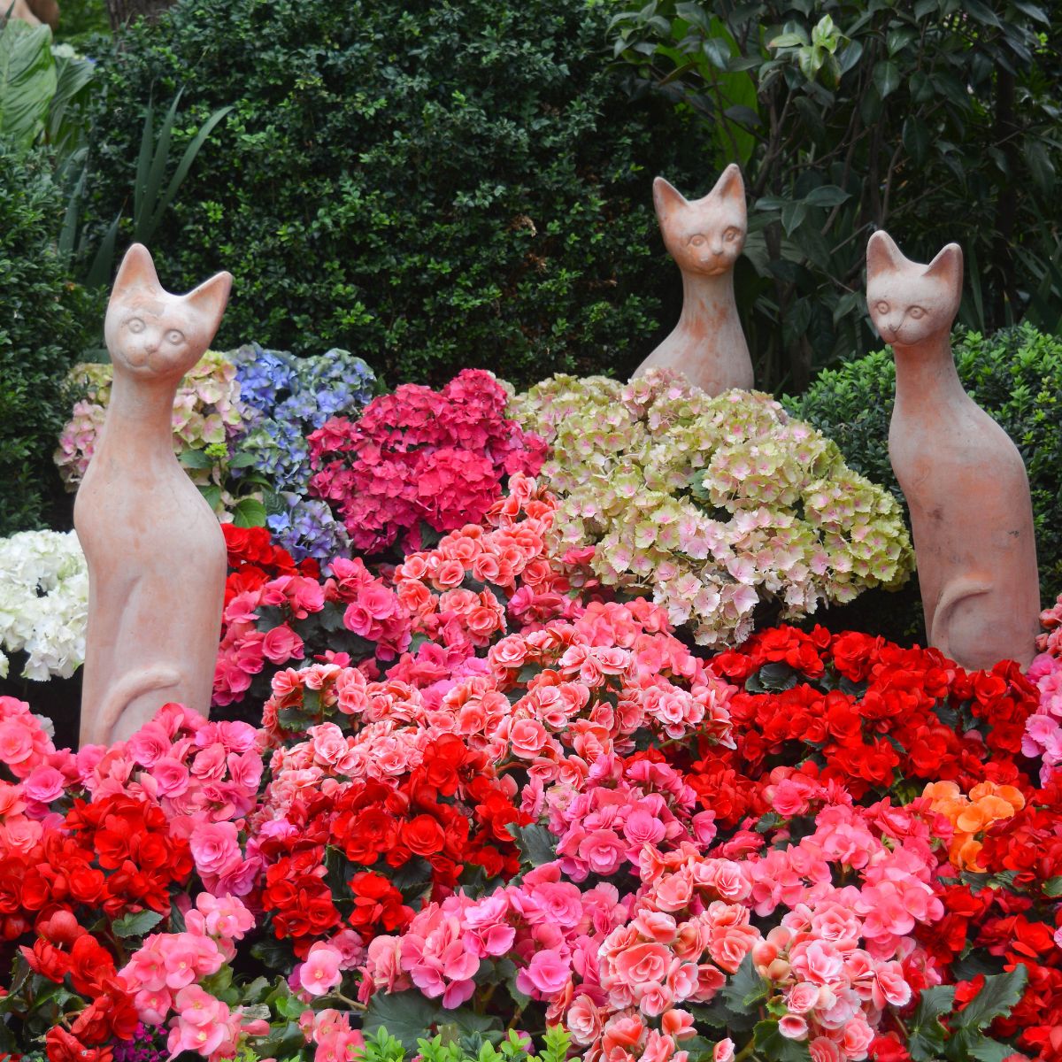 Cat sculptures in the middle of a colorful flower bed.