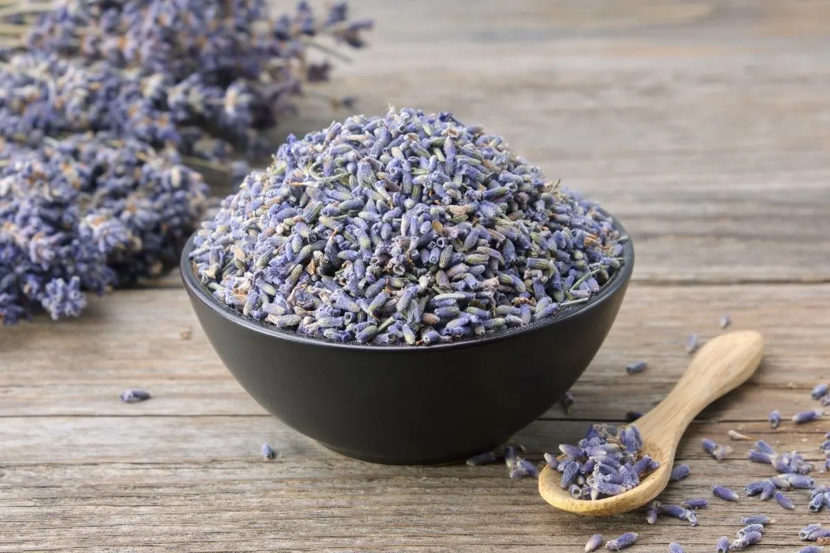 dried lavender buds