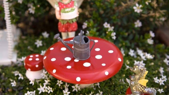 Amazing Inspiring Fairy Garden Accessories You Will Love