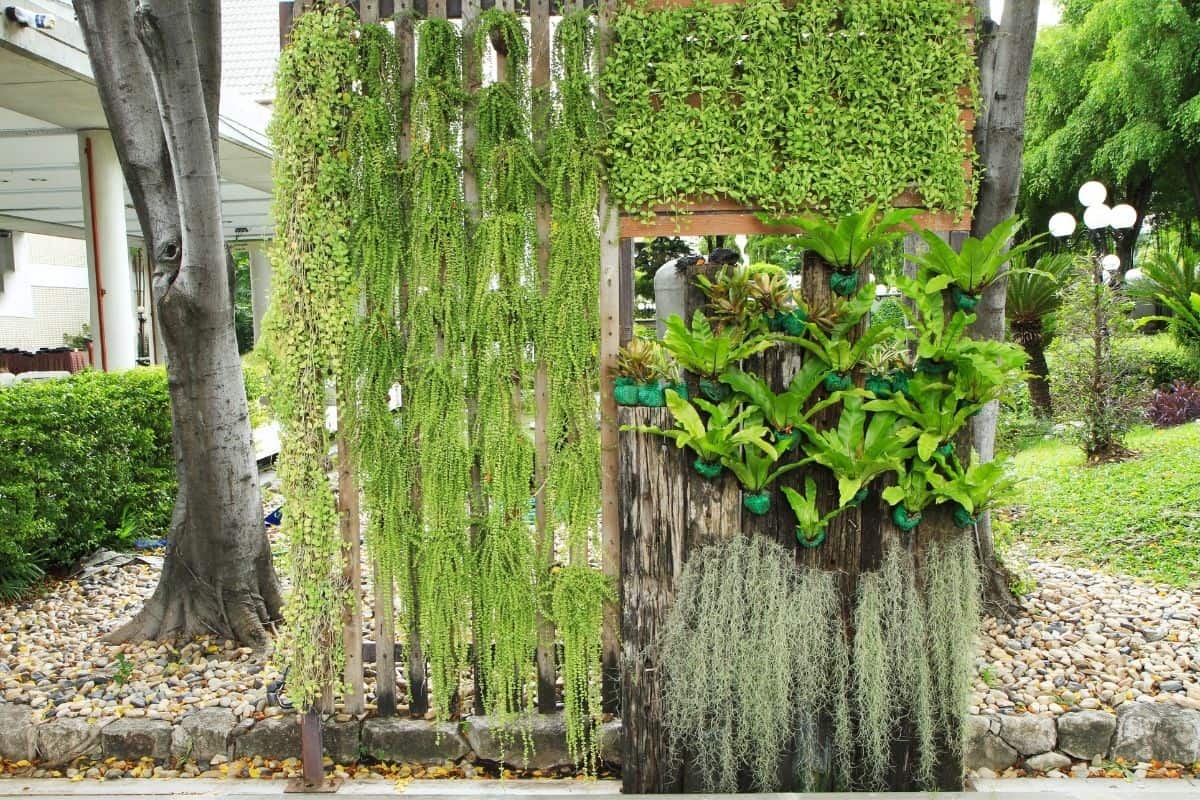 freestanding vertical garden