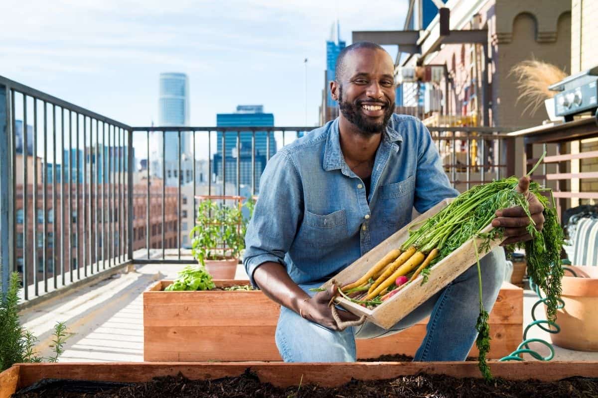 man showing a box of veggies picked from his rooftop garden