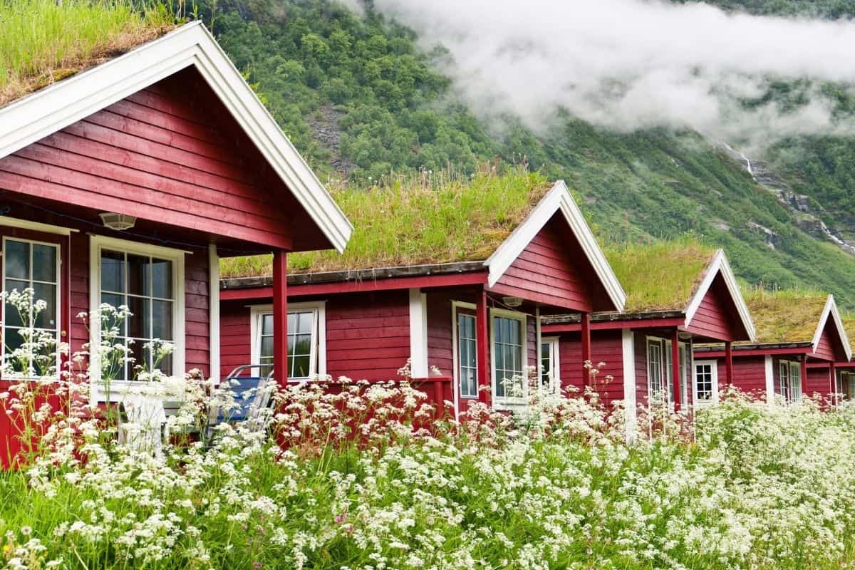 houses with green roofs