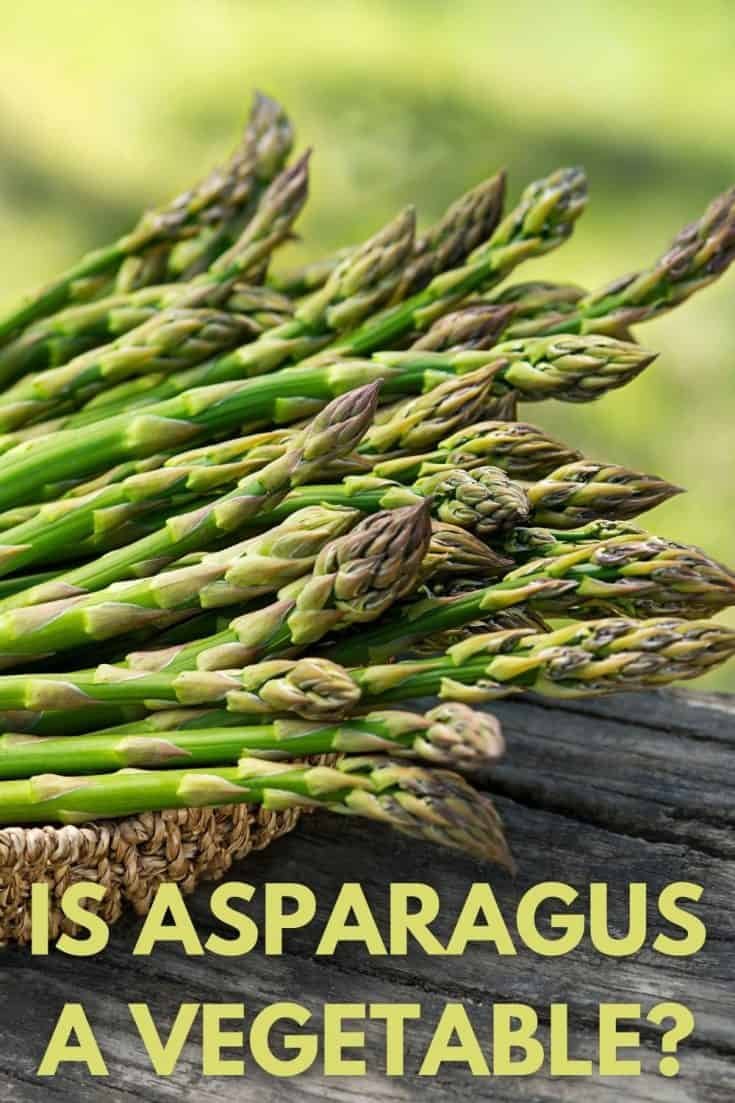 Is Asparagus A Vegetable?