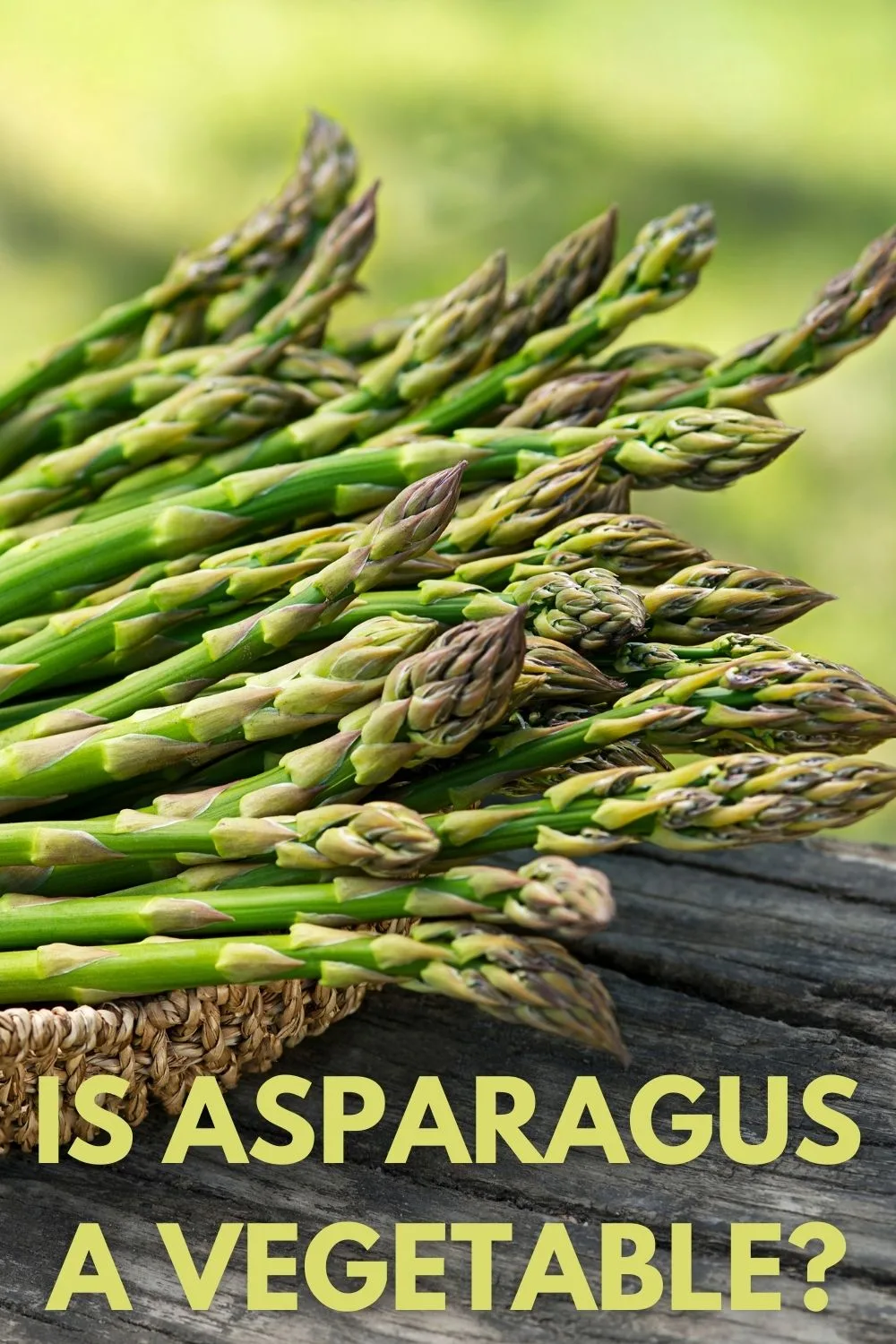 Is asparagus a vegetable