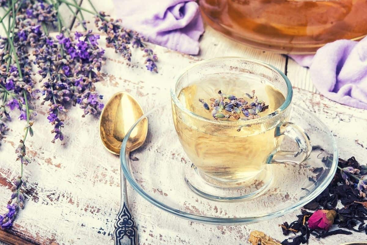 a cup of lavender tea