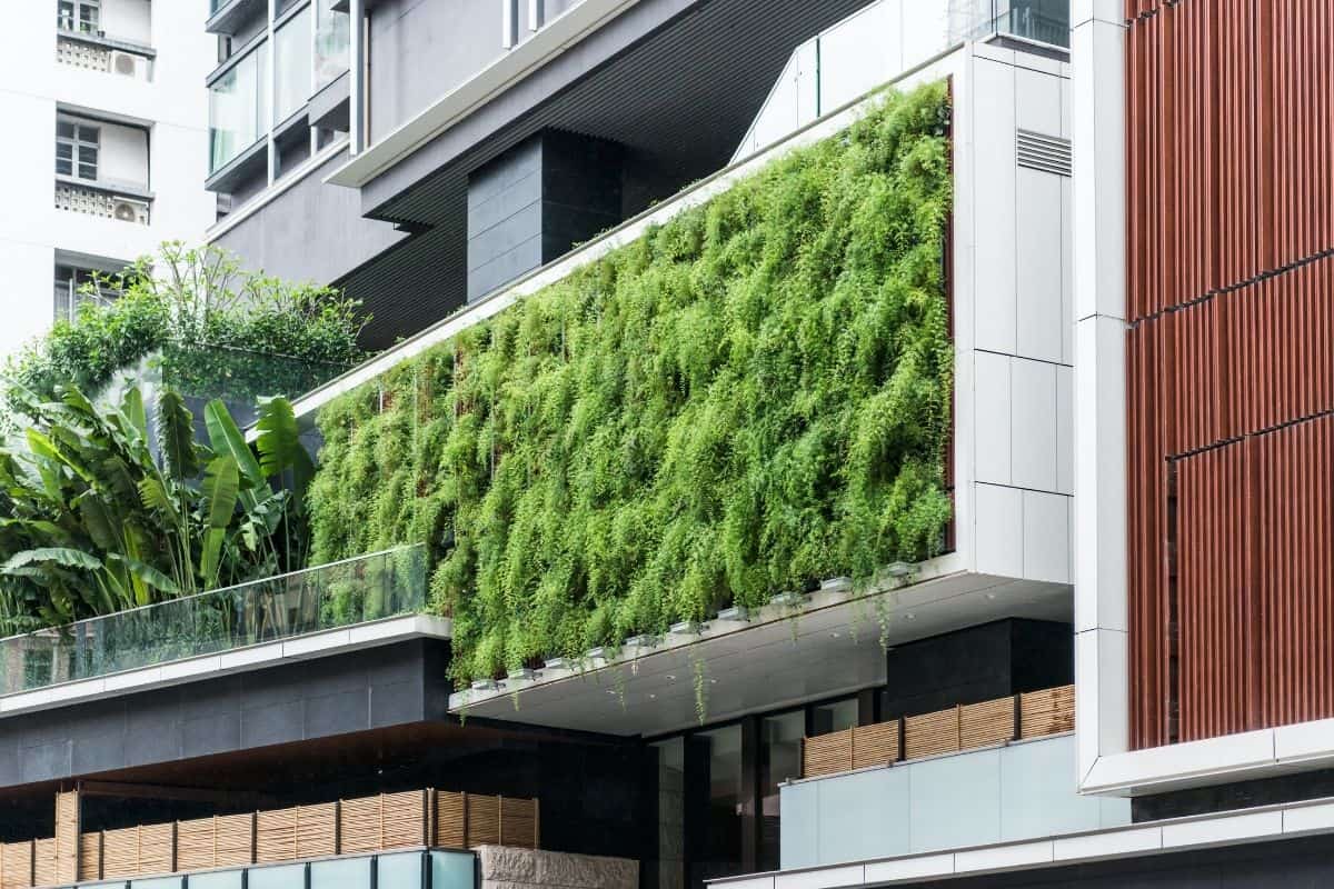 living wall garden