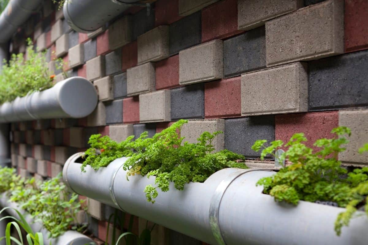 rain gutter garden