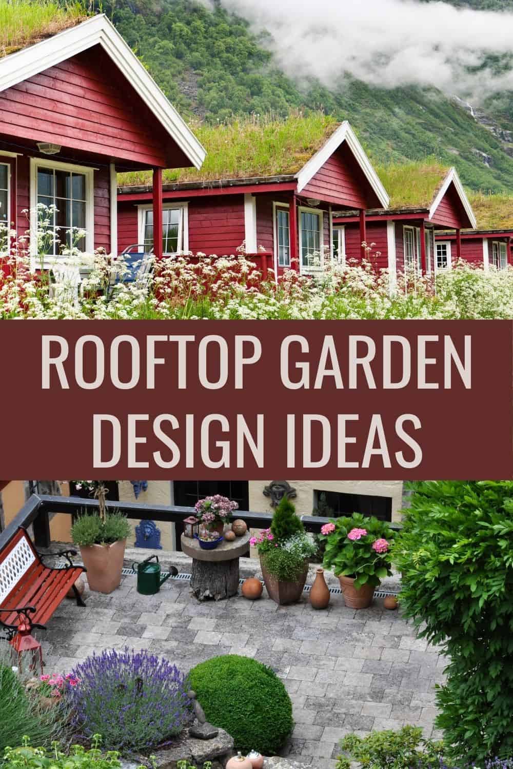 Rooftop garden design ideas