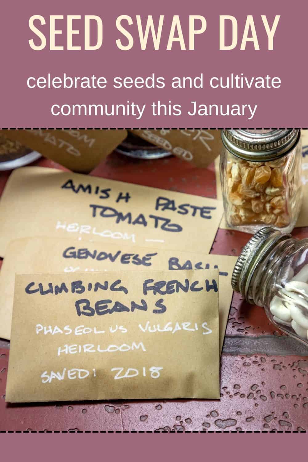 Seed Swap Day Celebrate Seeds And Cultivate Community This January