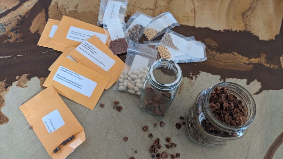 different containers of seeds ready for swapping.