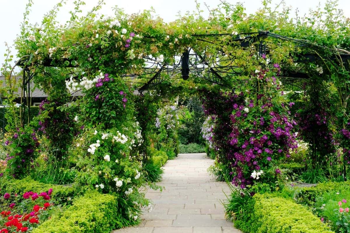 trellised flower garden