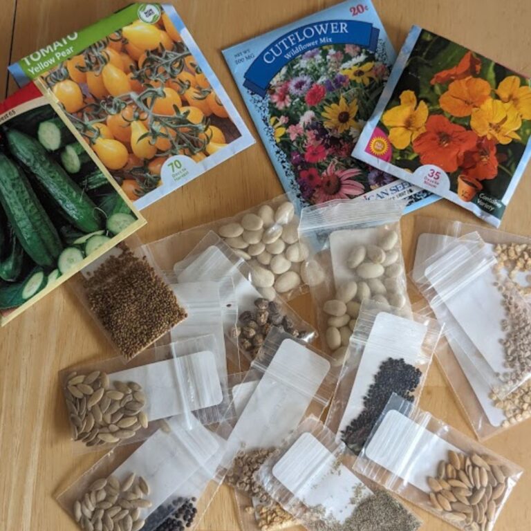 Small packets of flower and vegetable seeds.
