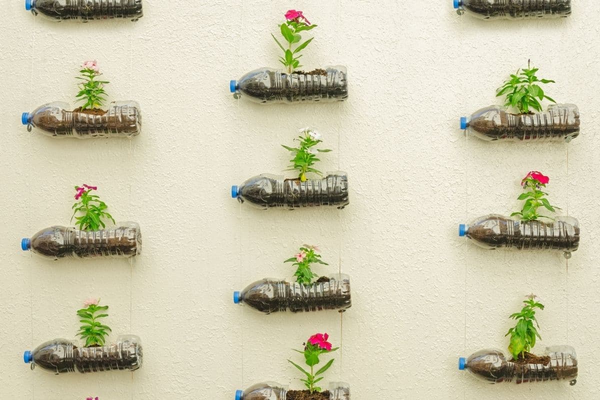 Water bottle garden