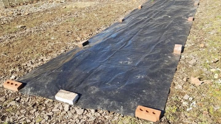 Occultation in Gardening: No-Till Bed Preparation in 4 Easy Steps