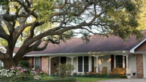 ranch-style home with large live oak tree in front