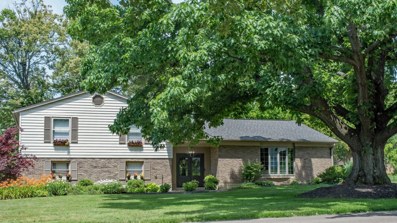 Split Level House with Large Oak Tree and Tiger Lilies
