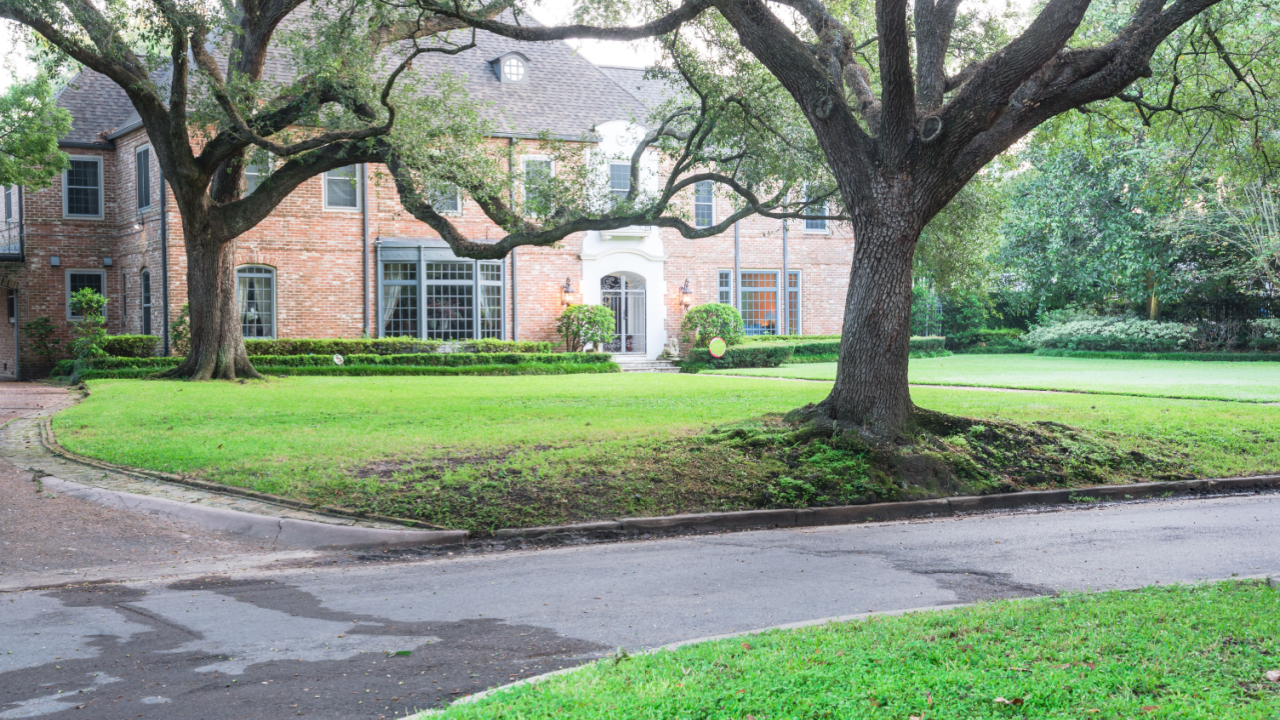 oak trees brick home green lawn