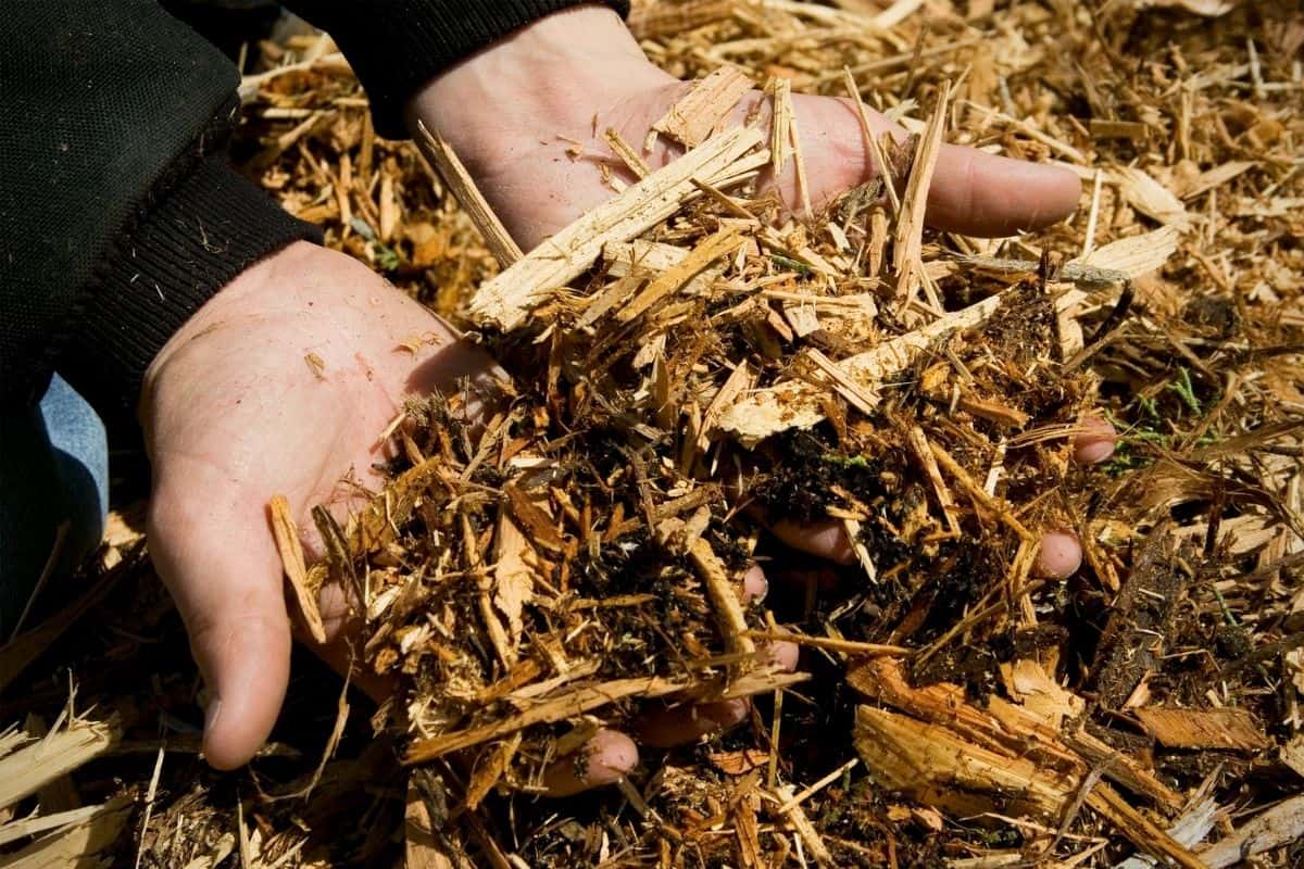 hands sifting through mulch