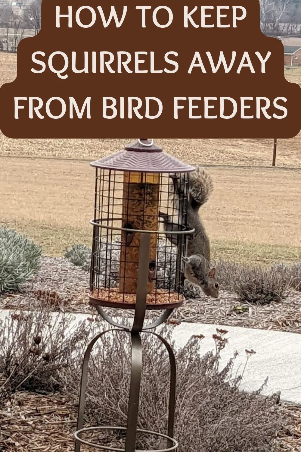 how to keep squirrels away from bird feeders