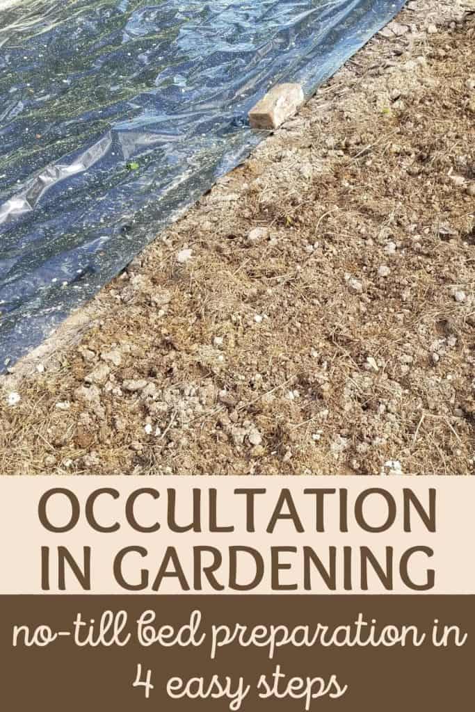 occultation in gardening: no-till bed preparation in 4 easy steps