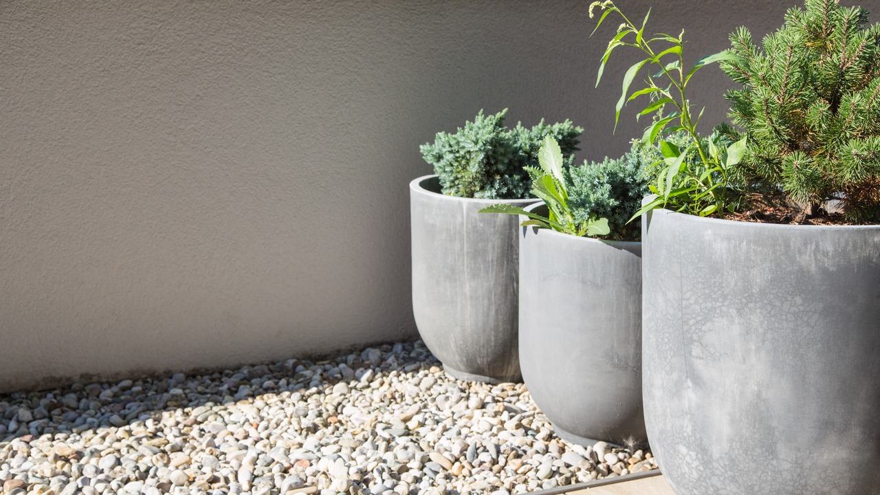 Modern garden and terrace design with gray pots made of fiberglass and stone planted with herbs and small pine-trees placed on gravel and flagged floor in front of a balcony wall