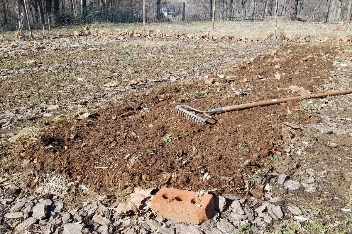 raking compost into garden soil