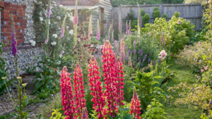 foxglove stone cottage garden