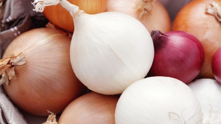 Is Onion A Vegetable Or A Fruit?