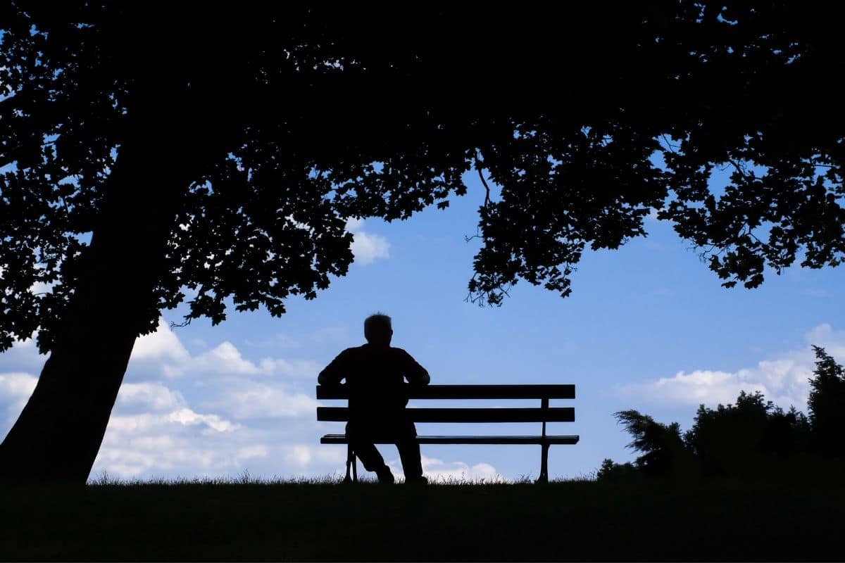 man sitting on a bench under a walnut tree 