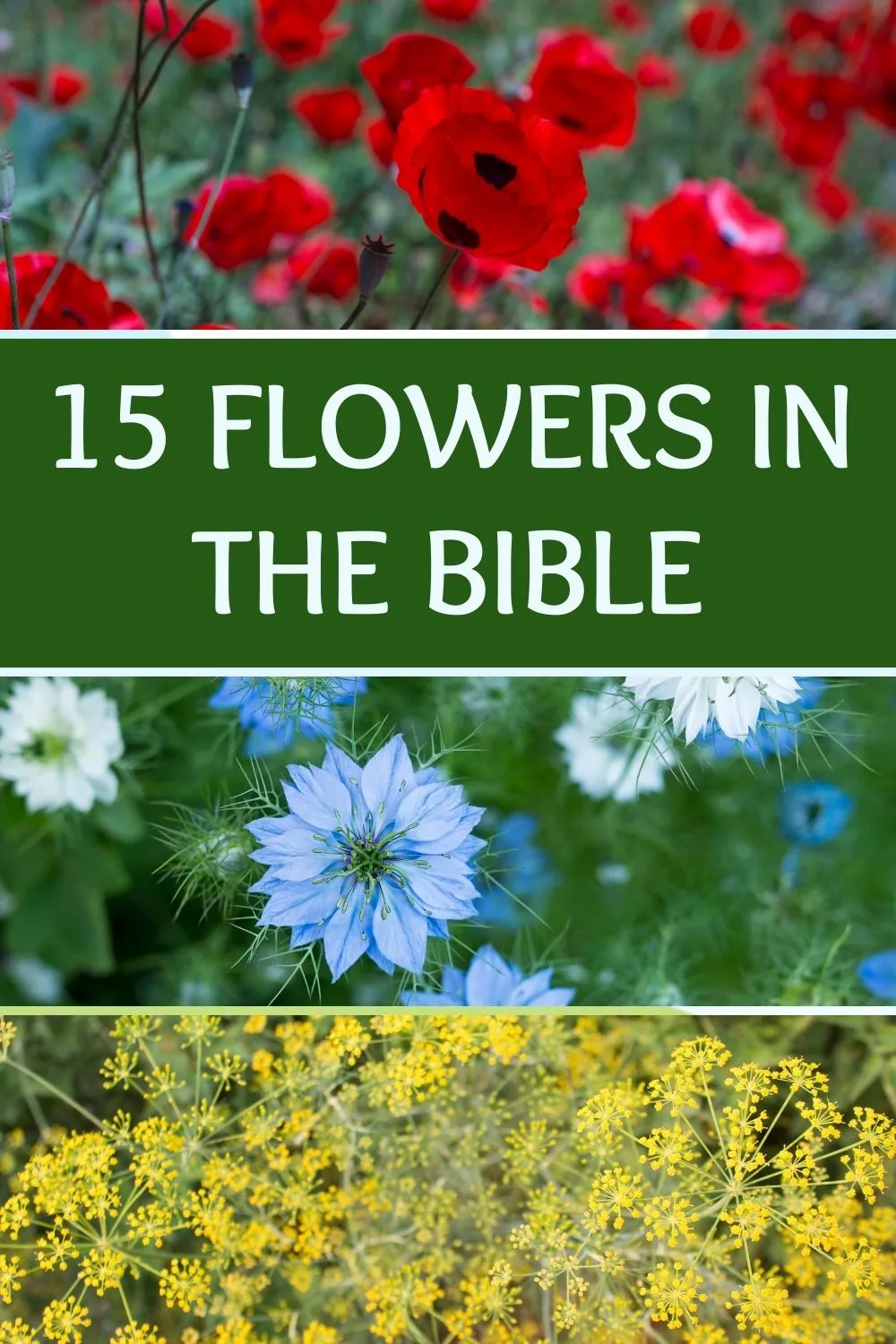 15 flowers in the Bible