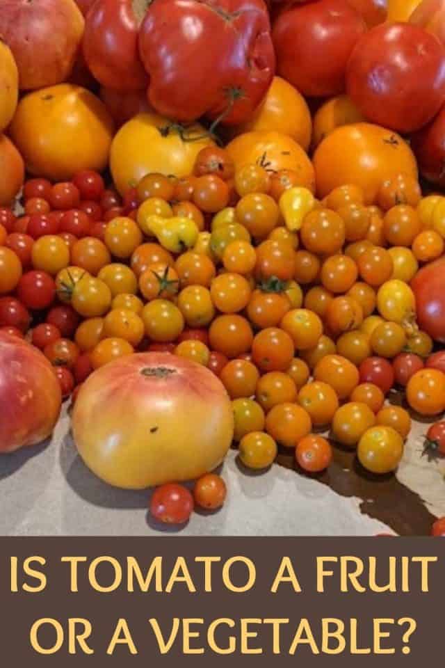Is Tomato A Fruit Or A Vegetable?