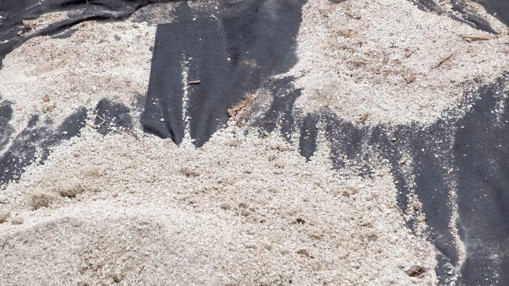 Can I Put Landscape Fabric Over Weeds?