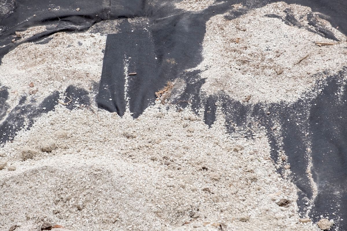 landscape fabric placed over weeds